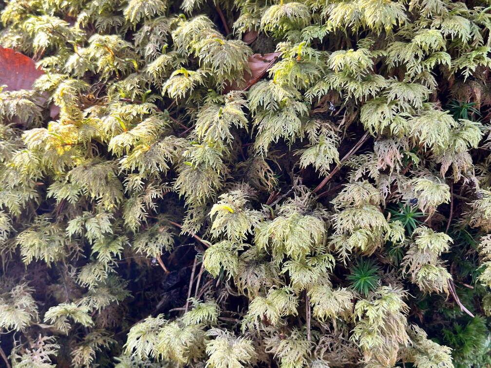 24-02-28 13-47-38 8781